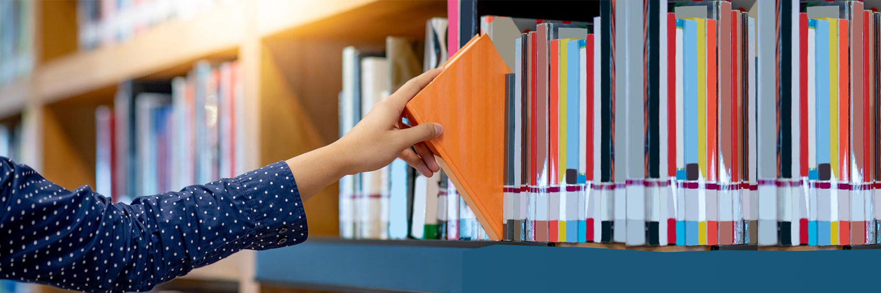Planificador Docente Curso 2025-2026